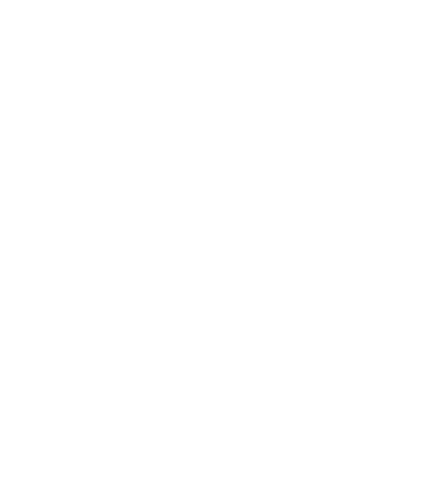 NightHawk Band Logo
